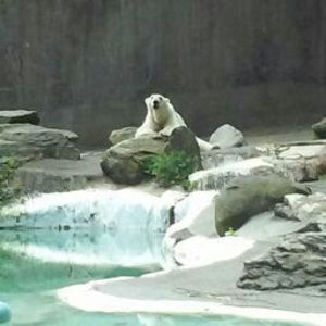 Meet your Posher, Andy